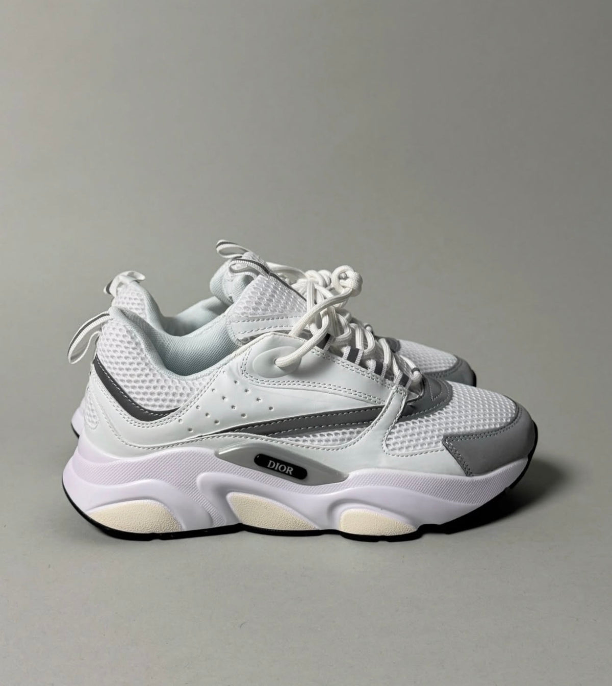 Dior B22 White Grey Reflective