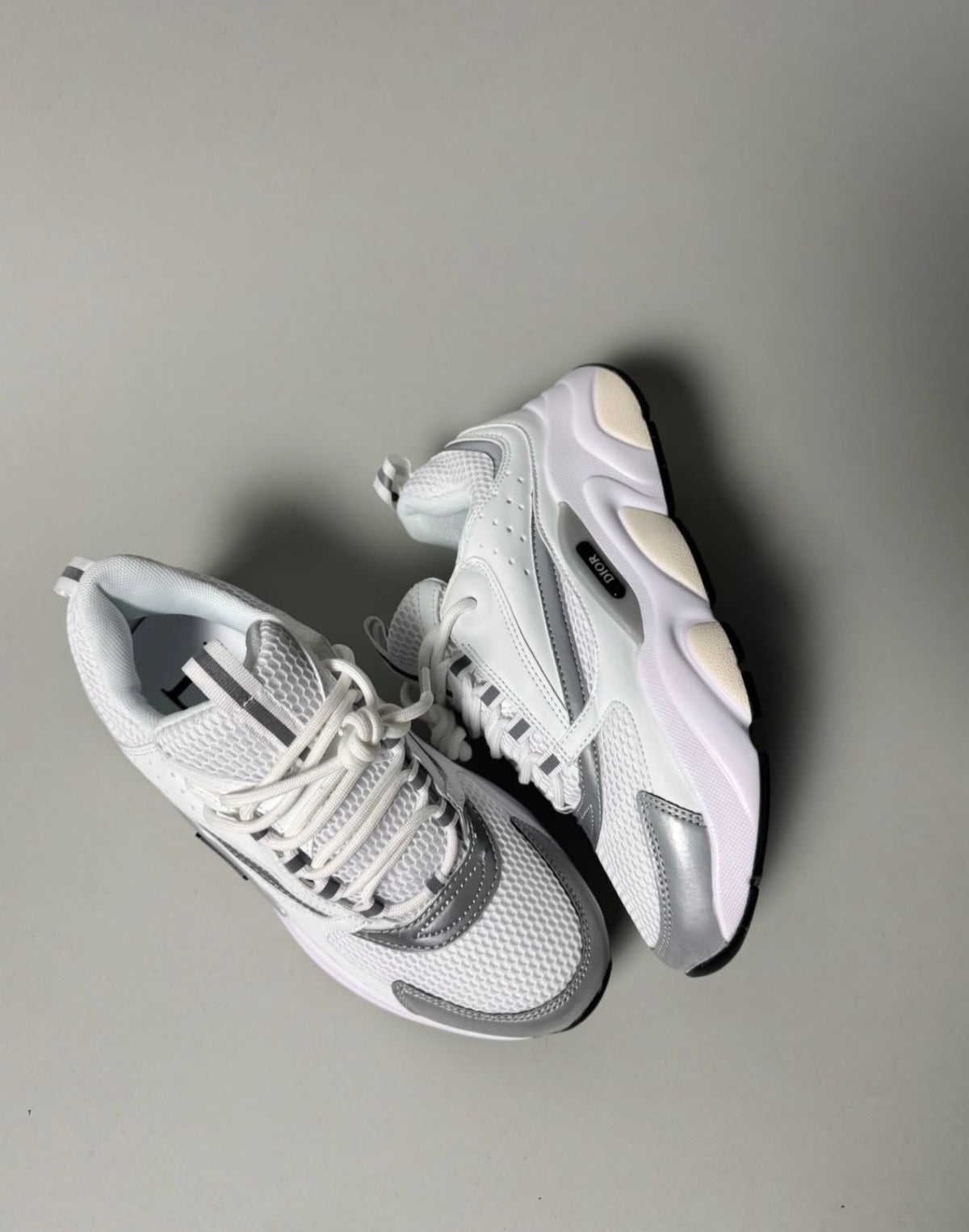 Dior B22 White Grey Reflective