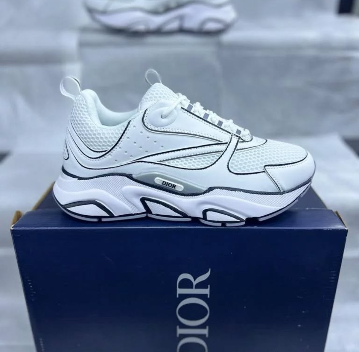 Dior B22 3D