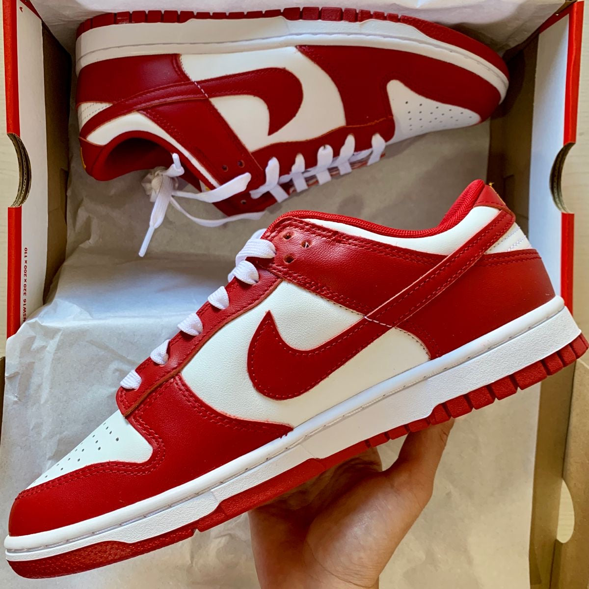 Nike SB Dunk University Red
