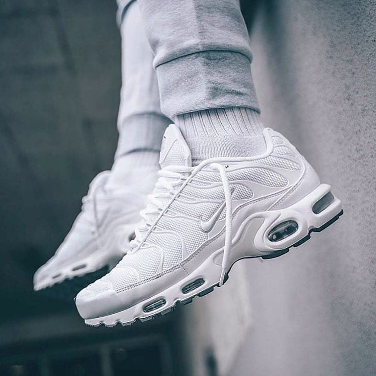 Nike Air Max TN Plus White