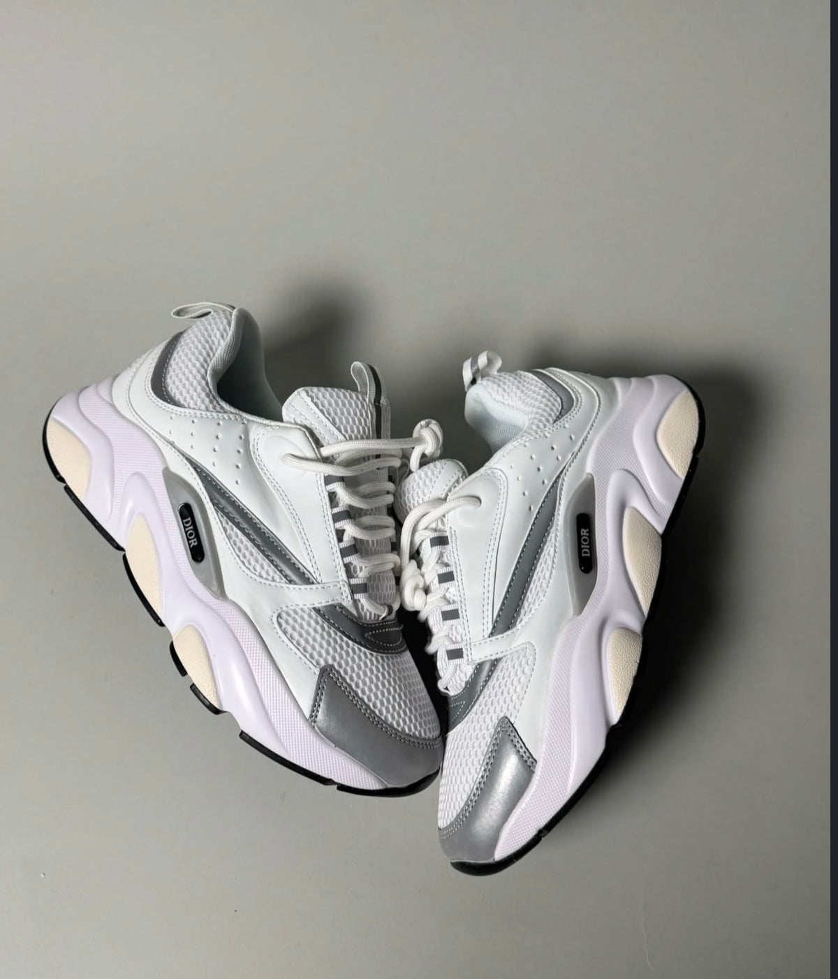Dior B22 White Grey Reflective