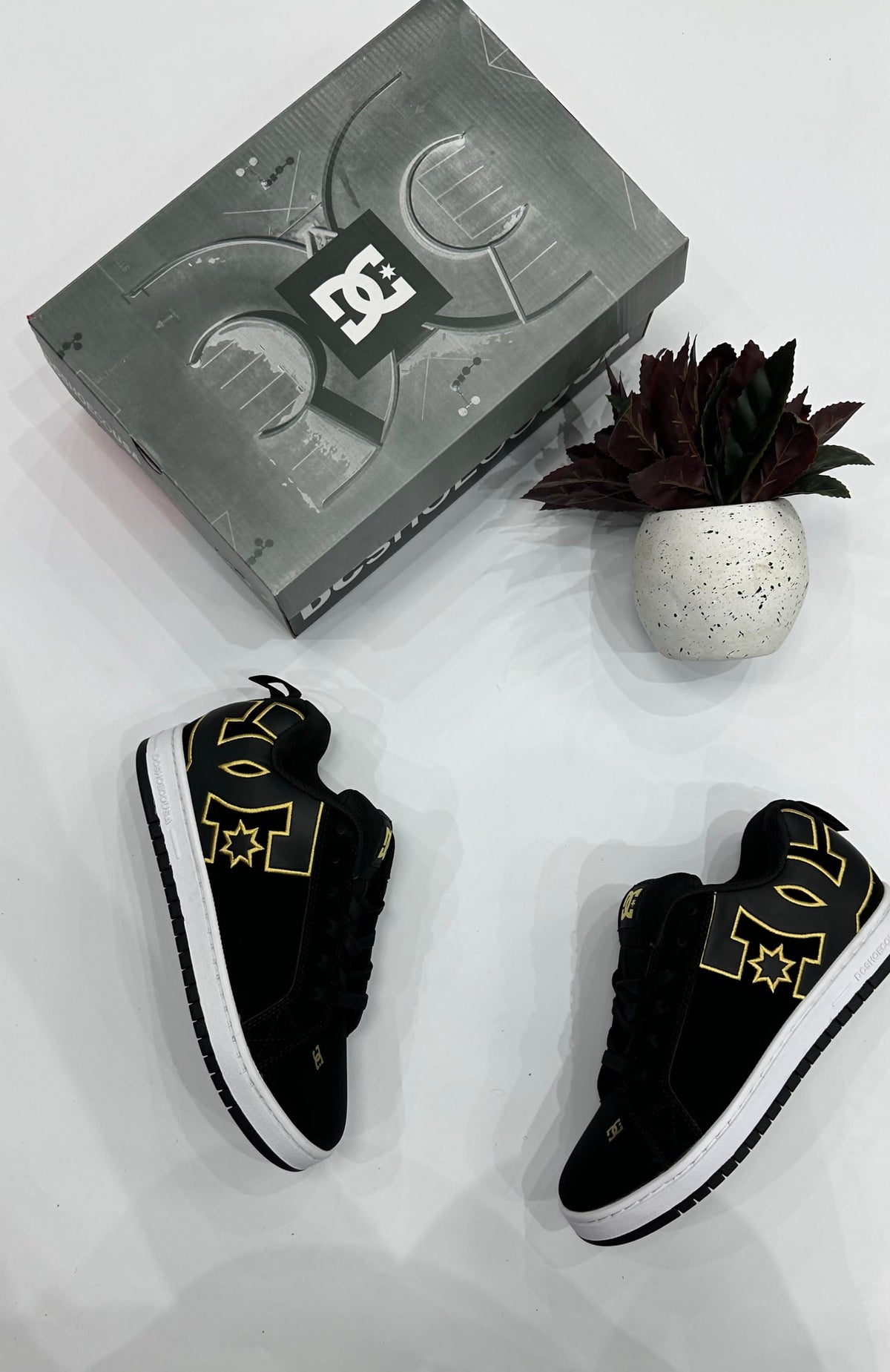 DC Court Graffik Black Gold