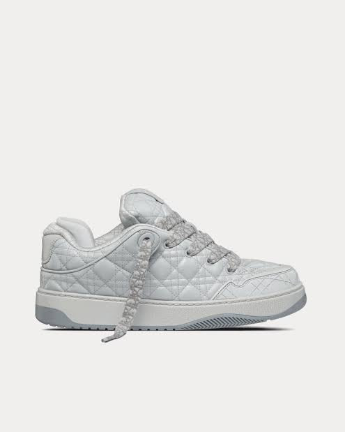 Dior B9 Grey