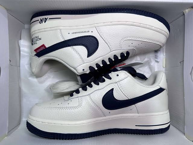 Nike Air Force 1 Supreme x the North Face